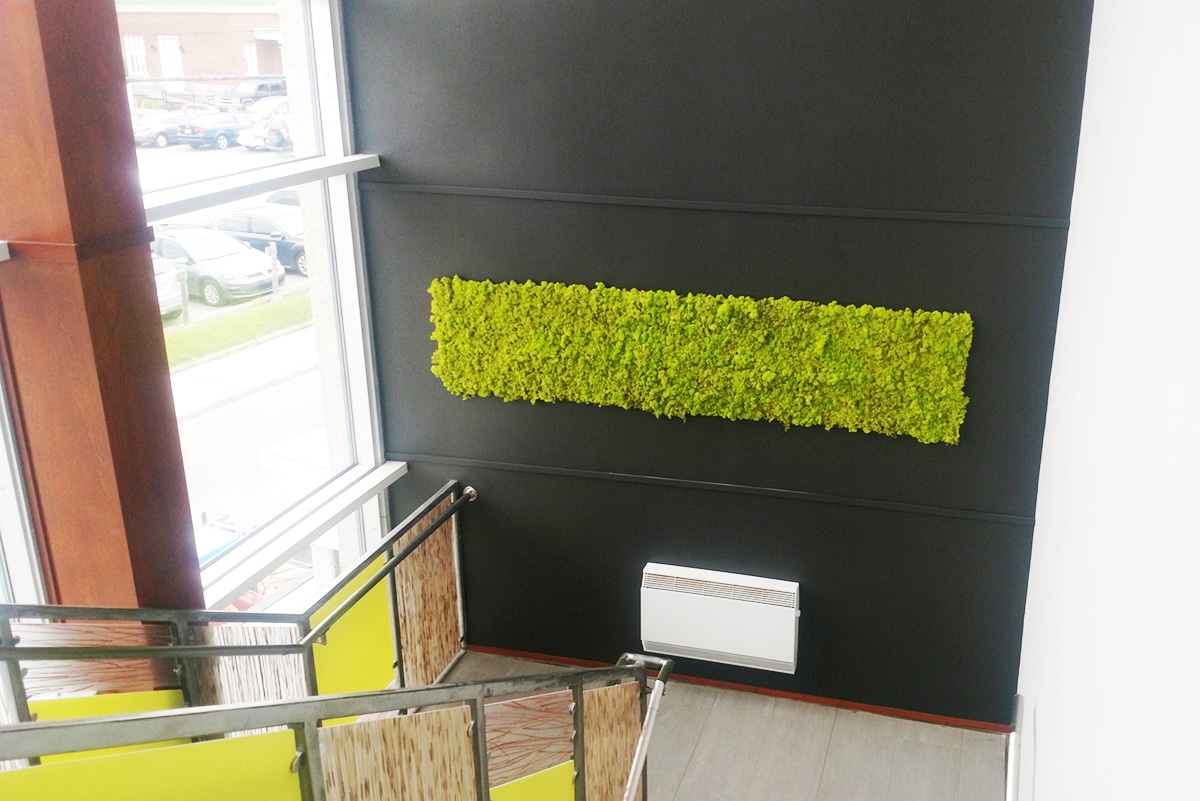 Verdure couloir espace de coworking Châteauguay